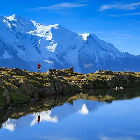 Maisonnette Argentee Near Grands Montets: Garden + Mont Blanc - Happy Chamonix